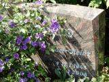 image of grave number 458430